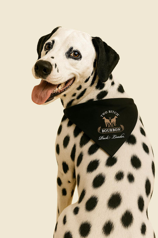 Pack Leader Bandana With Collar