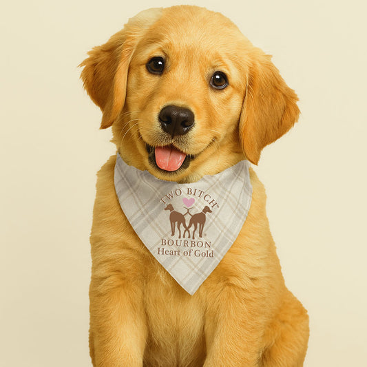 Heart of Gold Soft Plaid Bandana